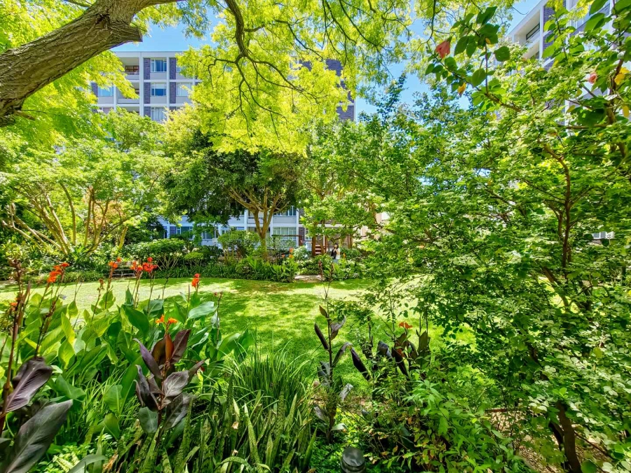 To Let 0 Bedroom Property for Rent in Cape Town City Centre Western Cape